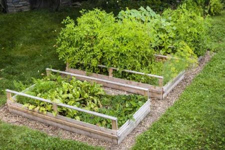Planning a Postage Stamp Garden Image